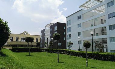 DEPARTAMENTO EN RENTA CON ROOF GARDEN EN REAL 8