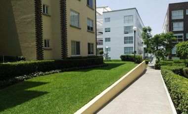 DEPARTAMENTO EN RENTA CON ROOF GARDEN EN REAL 8