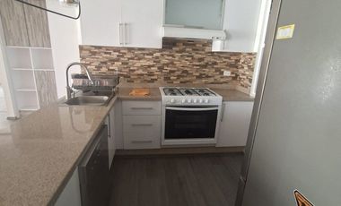 DEPARTAMENTO EN RENTA CON ROOF GARDEN EN REAL 8