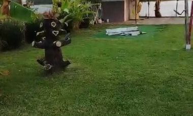 CASA DE CAMPO AMPLIO TERRENO FRENTE AL RIO TUXPAN.