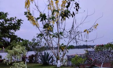CASA DE CAMPO AMPLIO TERRENO FRENTE AL RIO TUXPAN.