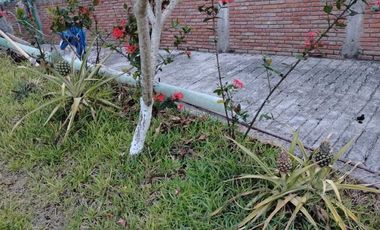 CASA DE CAMPO AMPLIO TERRENO FRENTE AL RIO TUXPAN.