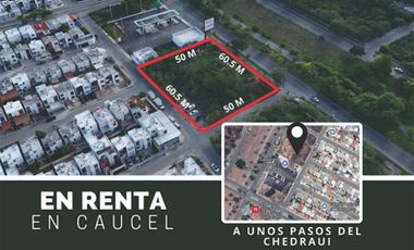 Renta de Terreno en caucel, yucatan