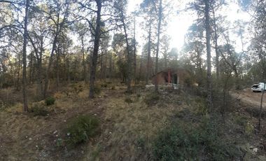 CABAÑA EN VENTA, BOSQUES DE LA MONTAÑA - ARTEAGA COAHUILA