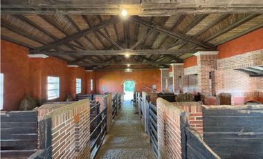 Apartamento en Venta - Venecia Colonial