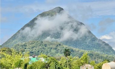 Apartamento en Venta - Venecia Colonial