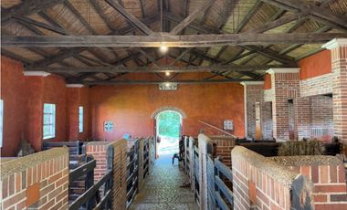 Apartamento en Venta - Venecia Colonial