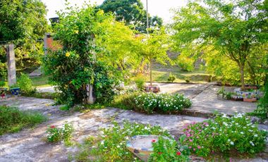 Se vende finca La Margarita en Alcalá con piscina 🌴