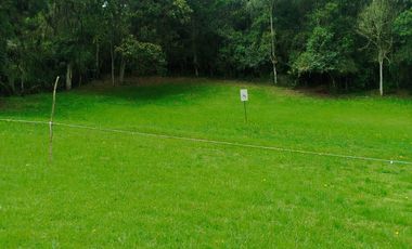 GRAN LANZAMIENTO DE LOTES EN PARCELACIÓN EN UNO DE LOS MEJORES PUNTOS DEL RETIRO ANTIOQUIA (VEREDA EL CHUSCAL).