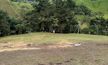 GRAN LANZAMIENTO DE LOTES EN PARCELACIÓN EN UNO DE LOS MEJORES PUNTOS DEL RETIRO ANTIOQUIA (VEREDA EL CHUSCAL).