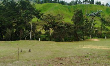 GRAN LANZAMIENTO DE LOTES EN PARCELACIÓN EN UNO DE LOS MEJORES PUNTOS DEL RETIRO ANTIOQUIA (VEREDA EL CHUSCAL).