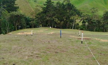 GRAN LANZAMIENTO DE LOTES EN PARCELACIÓN EN UNO DE LOS MEJORES PUNTOS DEL RETIRO ANTIOQUIA (VEREDA EL CHUSCAL).