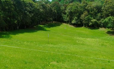 GRAN LANZAMIENTO DE LOTES EN PARCELACIÓN EN UNO DE LOS MEJORES PUNTOS DEL RETIRO ANTIOQUIA (VEREDA EL CHUSCAL).