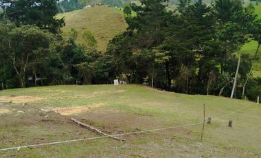GRAN LANZAMIENTO DE LOTES EN PARCELACIÓN EN UNO DE LOS MEJORES PUNTOS DEL RETIRO ANTIOQUIA (VEREDA EL CHUSCAL).