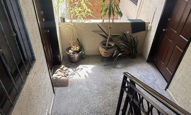 DEPARTAMENTO VALLE DEL CAMPESTRE LEON VENTA