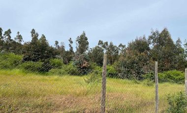 Parcela en venta  en QUILLÓN