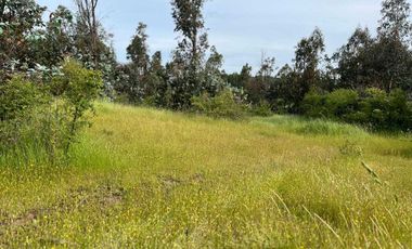 Parcela en venta  en QUILLÓN