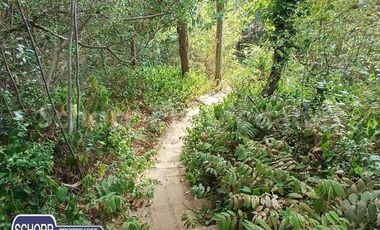 Parcela en Venta en COLBUN, PATAGUAS, ORILLA DE LAGO