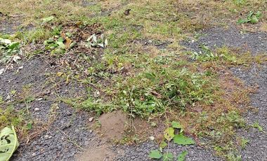 En Venta Terreno En El Pedregal Cerca de Periférico Sur