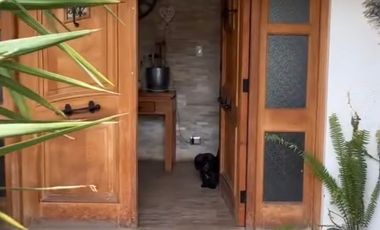 Casa en venta c/ estacionamiento en Avenida San Juan