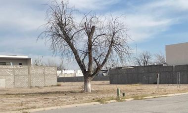 TERRENOS  EN VENTA EN FRACC. REAL DEL NOGALAR, EN TORREON COAH.