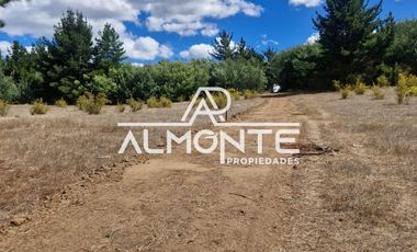 VENTA TERRENO URBANO  COMUNA FLORIDA