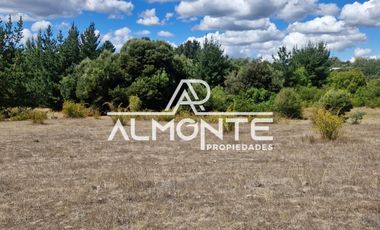 VENTA TERRENO URBANO  COMUNA FLORIDA