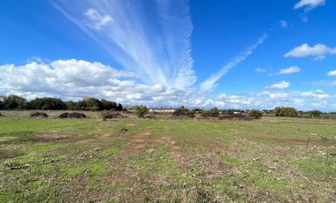 VENTA DE PARCELAS 5000MTS2 EN LINARES