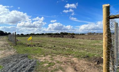 VENTA DE PARCELAS 5000MTS2 EN LINARES