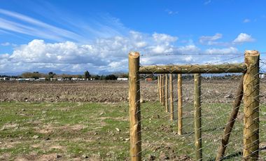 VENTA DE PARCELAS 5000MTS2 EN LINARES