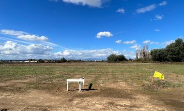 VENTA DE PARCELAS 5000MTS2 EN LINARES