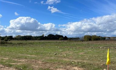 VENTA DE PARCELAS 5000MTS2 EN LINARES