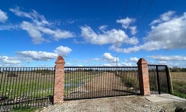 VENTA DE PARCELAS 5000MTS2 EN LINARES