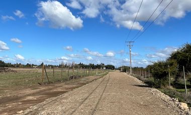 VENTA DE PARCELAS 5000MTS2 EN LINARES