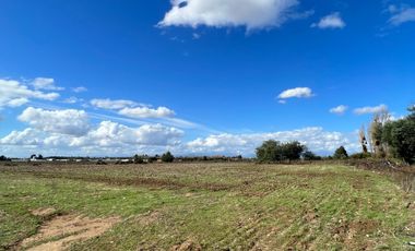 VENTA DE PARCELAS 5000MTS2 EN LINARES