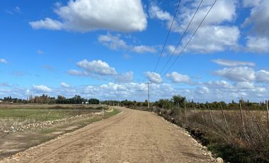 VENTA DE PARCELAS 5000MTS2 EN LINARES