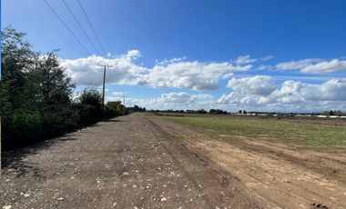 VENTA DE PARCELAS 5000MTS2 EN LINARES