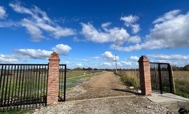 VENTA DE PARCELAS 5000MTS2 EN LINARES