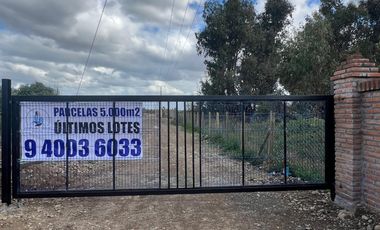 VENTA DE PARCELAS 5000MTS2 EN LINARES