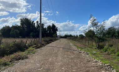 VENTA DE PARCELAS 5000MTS2 EN LINARES