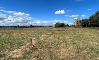 VENTA DE PARCELAS 5000MTS2 EN LINARES