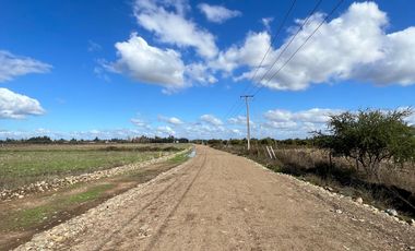 VENTA DE PARCELAS 5000MTS2 EN LINARES