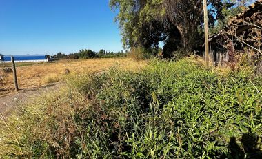 VENTA DE PARCELAS DE 5000MTS COLIN