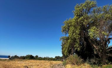 VENTA DE PARCELAS DE 5000MTS COLIN