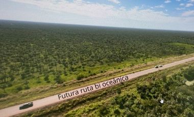 Agrícola en Venta en VILLA HAYES