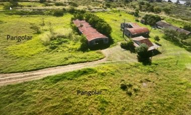 Agrícola en Venta en VILLA HAYES