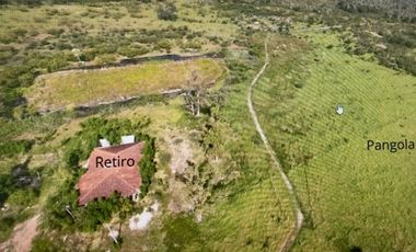 Agrícola en Venta en VILLA HAYES