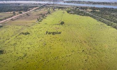 Agrícola en Venta en VILLA HAYES