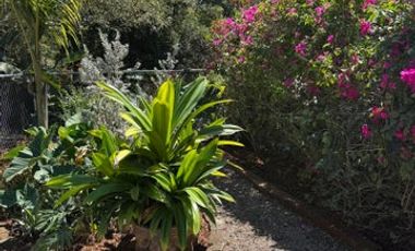 Casa Carmen, El Tuito, Sierra Madre Jalisco