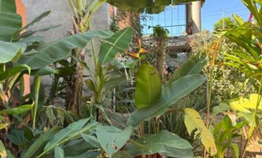 Casa Carmen, El Tuito, Sierra Madre Jalisco